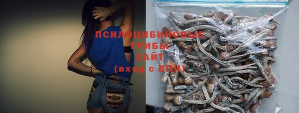 ГАЛЛЮЦИНОГЕННЫЕ ГРИБЫ Алексеевка