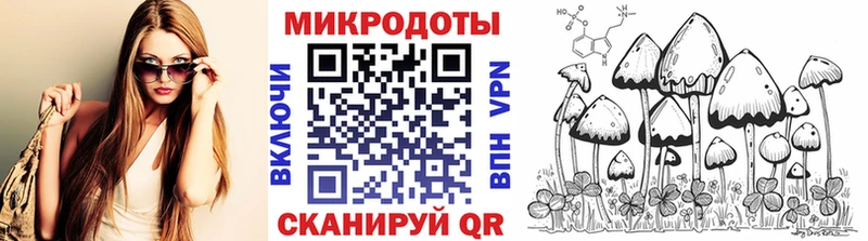 как найти наркотики  Полысаево  Галлюциногенные грибы Magic Shrooms 